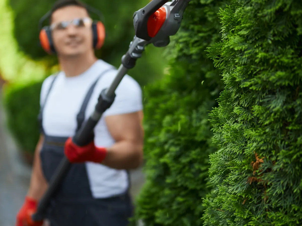 TUINONDERHOUD
